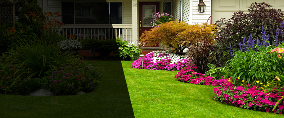 Laughlin Landscapers